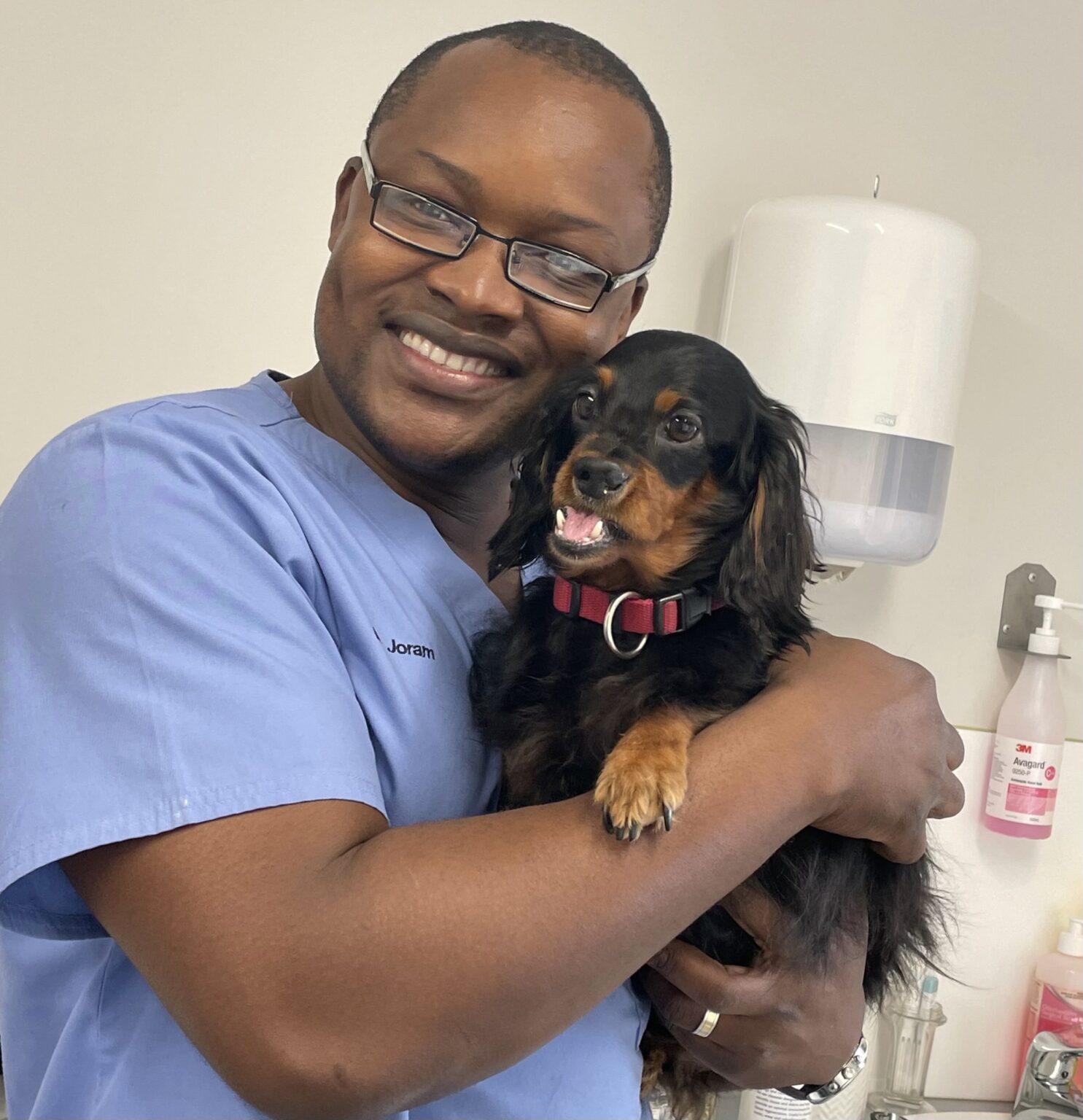 Veterinary Hospital Local Veterinarians & Affordable Pet Vet Clinic